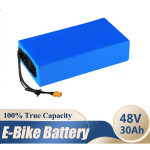 48 V 30 Ah Lithium Ion Pil